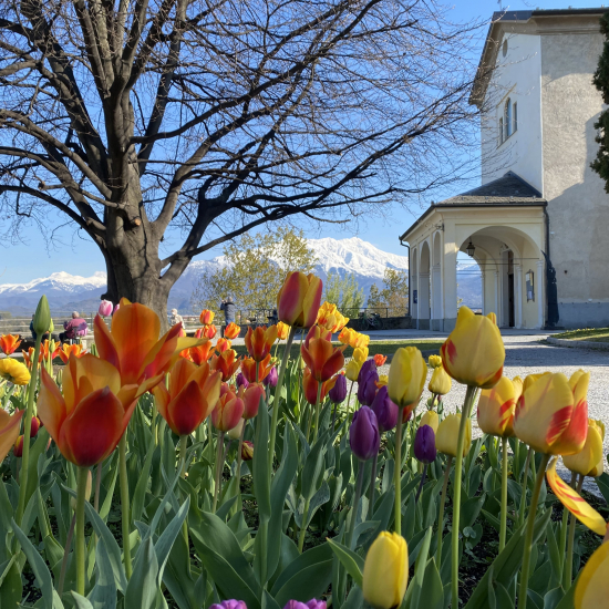 Santuario Angeli